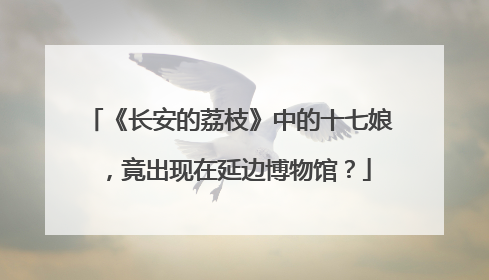《长安的荔枝》中的十七娘，竟出现在延边博物馆？