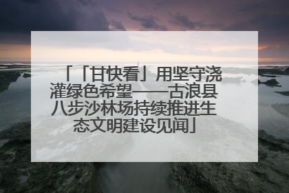 「甘快看」用坚守浇灌绿色希望——古浪县八步沙林场持续推进生态文明建设见闻