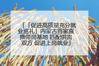 「促进高质量充分就业巡礼」内蒙古首家直播带岗基地 匹配供需双方 促进上岗就业