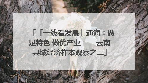 「一线看发展」通海：做足特色 做优产业——云南县域经济样本观察之二
