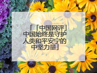 「中国网评」中国始终是守护人类和平安宁的中坚力量