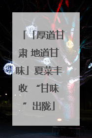 「厚道甘肃 地道甘味」夏菜丰收 “甘味”出陇