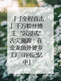 「全程直击」千万粉丝博主“沉浸式”舌尖溯源：在金龙鱼外婆乡工厂寻回记忆中