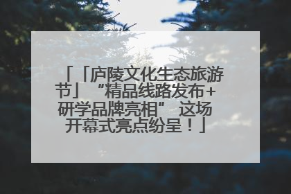 「庐陵文化生态旅游节」“精品线路发布+研学品牌亮相” 这场开幕式亮点纷呈！