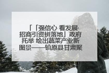 「强信心 看发展·招商引资拼落地」政府托举 绘出蔬菜产业新图景——镇原县甘肃聚广利现代设施蔬菜种植基地见闻