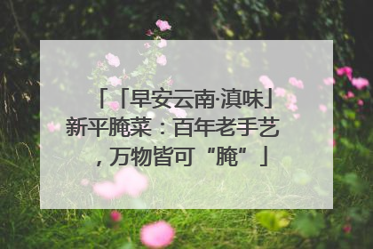 「早安云南·滇味」新平腌菜：百年老手艺，万物皆可“腌”
