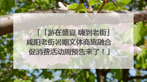 「游在盛夏 嗨到老街」咸阳老街暑期文体商旅融合促消费活动周预告来了！