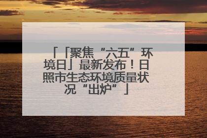 「聚焦“六五”环境日」最新发布！日照市生态环境质量状况“出炉”