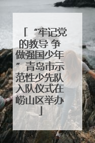 “牢记党的教导 争做强国少年”青岛市示范性少先队入队仪式在崂山区举办