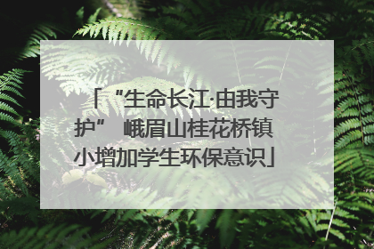 “生命长江·由我守护” 峨眉山桂花桥镇小增加学生环保意识