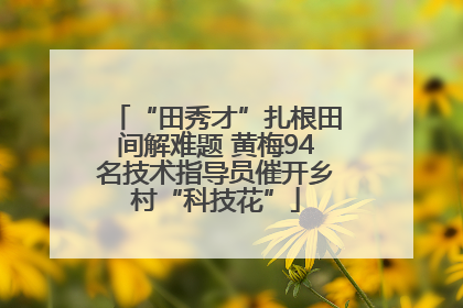 “田秀才”扎根田间解难题 黄梅94名技术指导员催开乡村“科技花”