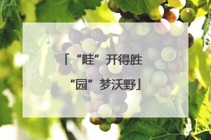 “畦”开得胜 “园”梦沃野