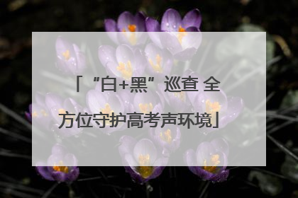 “白+黑”巡查 全方位守护高考声环境