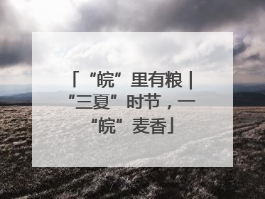 “皖”里有粮｜“三夏”时节，一“皖”麦香