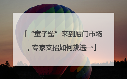 “童子蟹”来到厦门市场，专家支招如何挑选→