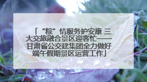 “粽”情服务护安康 三大交旅融合景区迎客忙——甘肃省公交建集团全力做好端午假期景区运营工作