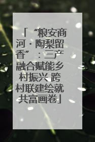 “粮安商河・陶梨留香”：三产融合赋能乡村振兴 跨村联建绘就共富画卷