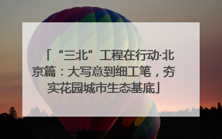 “三北”工程在行动·北京篇：大写意到细工笔，夯实花园城市生态基底