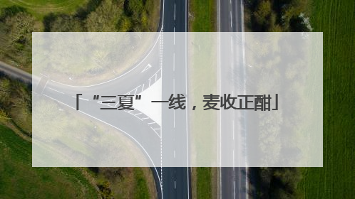 “三夏”一线，麦收正酣