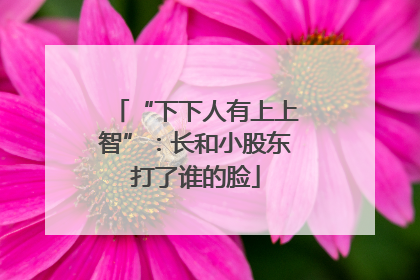 “下下人有上上智”：长和小股东打了谁的脸