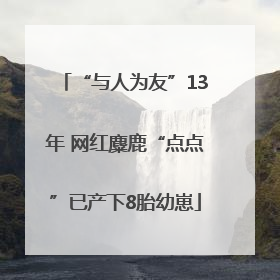 “与人为友”13年 网红麋鹿“点点”已产下8胎幼崽