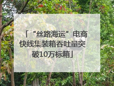 “丝路海运”电商快线集装箱吞吐量突破10万标箱