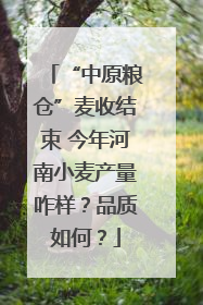 “中原粮仓”麦收结束 今年河南小麦产量咋样？品质如何？