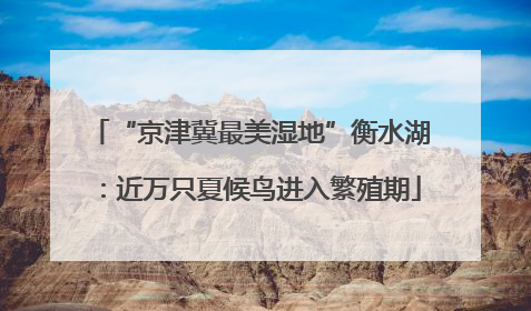 “京津冀最美湿地”衡水湖：近万只夏候鸟进入繁殖期