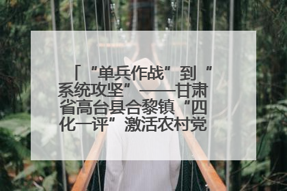 “单兵作战”到“系统攻坚”——甘肃省高台县合黎镇“四化一评”激活农村党员管理新引擎