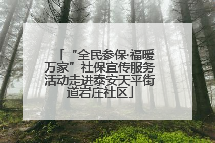“全民参保·福暖万家”社保宣传服务活动走进泰安天平街道岩庄社区