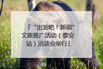 “出发吧！新疆”文旅推广活动（泰安站）洽谈会举行
