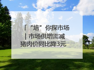 “培”你探市场｜市场供增需减 猪肉价同比降3元 未来40天便宜猪肉敞开吃