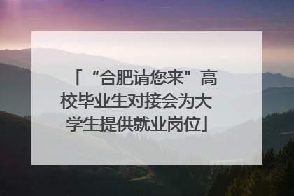 “合肥请您来”高校毕业生对接会为大学生提供就业岗位