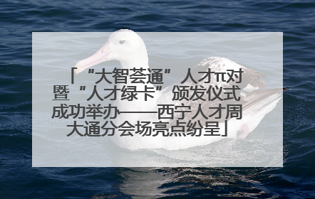 “大智荟通”人才π对暨“人才绿卡”颁发仪式成功举办——西宁人才周大通分会场亮点纷呈