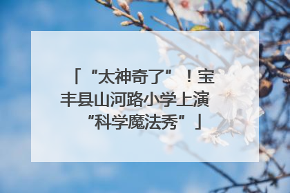 “太神奇了”！宝丰县山河路小学上演“科学魔法秀”
