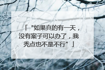 “如果真的有一天，没有案子可以办了，我秃点也不是不行”