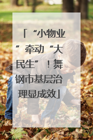 “小物业”牵动“大民生”！舞钢市基层治理显成效