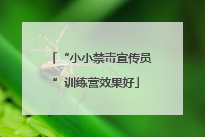 “小小禁毒宣传员”训练营效果好
