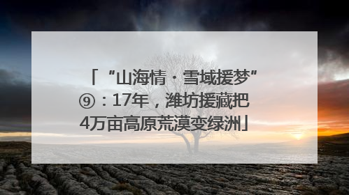 “山海情・雪域援梦”⑨：17年，潍坊援藏把4万亩高原荒漠变绿洲