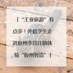 “工业旅游”看点多！外籍学生走进胶州李哥庄镇体验“胶州智造”