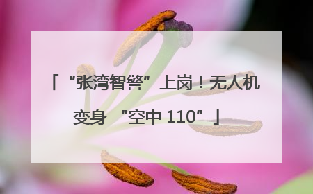 “张湾智警”上岗！无人机变身 “空中 110”