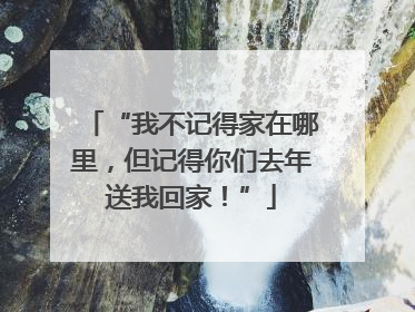 “我不记得家在哪里，但记得你们去年送我回家！”