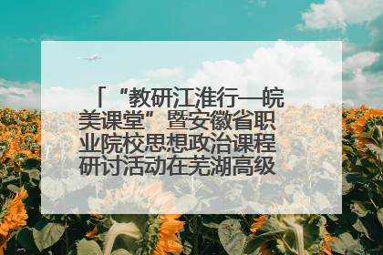 “教研江淮行—皖美课堂”暨安徽省职业院校思想政治课程研讨活动在芜湖高级职业技术学校举行