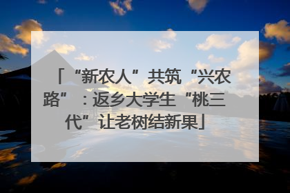 “新农人”共筑“兴农路”：返乡大学生“桃三代”让老树结新果