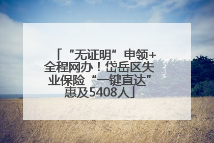 “无证明”申领+全程网办！岱岳区失业保险“一键直达”惠及5408人