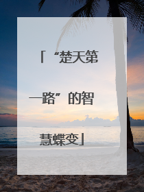 “楚天第一路”的智慧蝶变