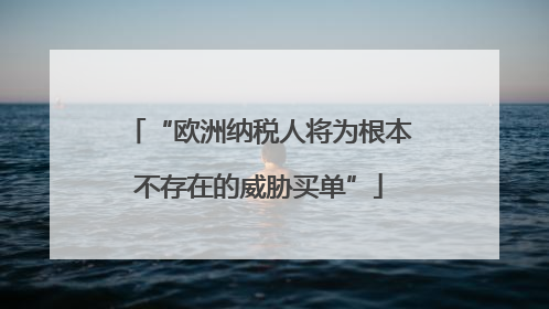 “欧洲纳税人将为根本不存在的威胁买单”
