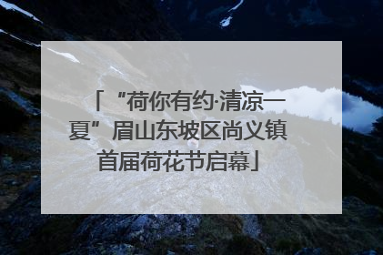 “荷你有约·清凉一夏”眉山东坡区尚义镇首届荷花节启幕