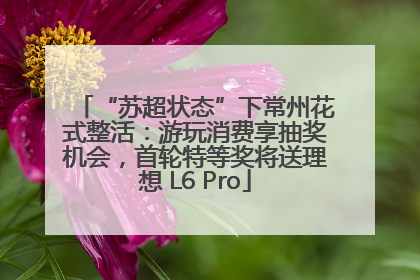 “苏超状态”下常州花式整活：游玩消费享抽奖机会，首轮特等奖将送理想 L6 Pro