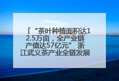 “茶叶种植面积达12.5万亩，全产业链产值达57亿元” 浙江武义茶产业全链发展“加速度”